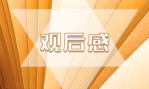 2023年CCTV7《想飛的少年》觀后感范文